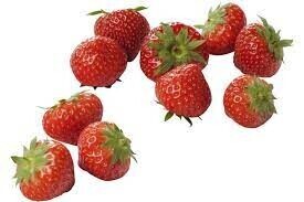 Aardbeientoernooi (senioren)